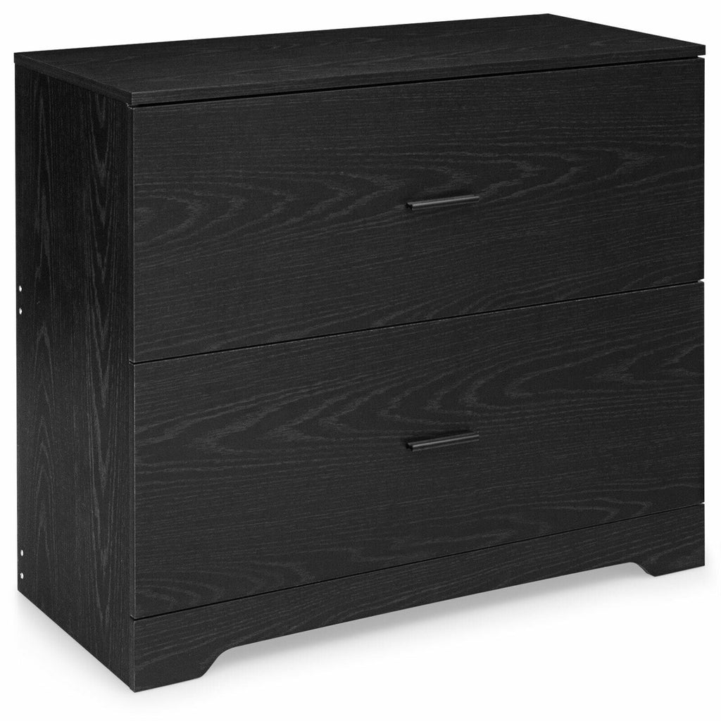 2-Drawer Lateral File Cabinet with Adjustable Hanging Bars for Home
