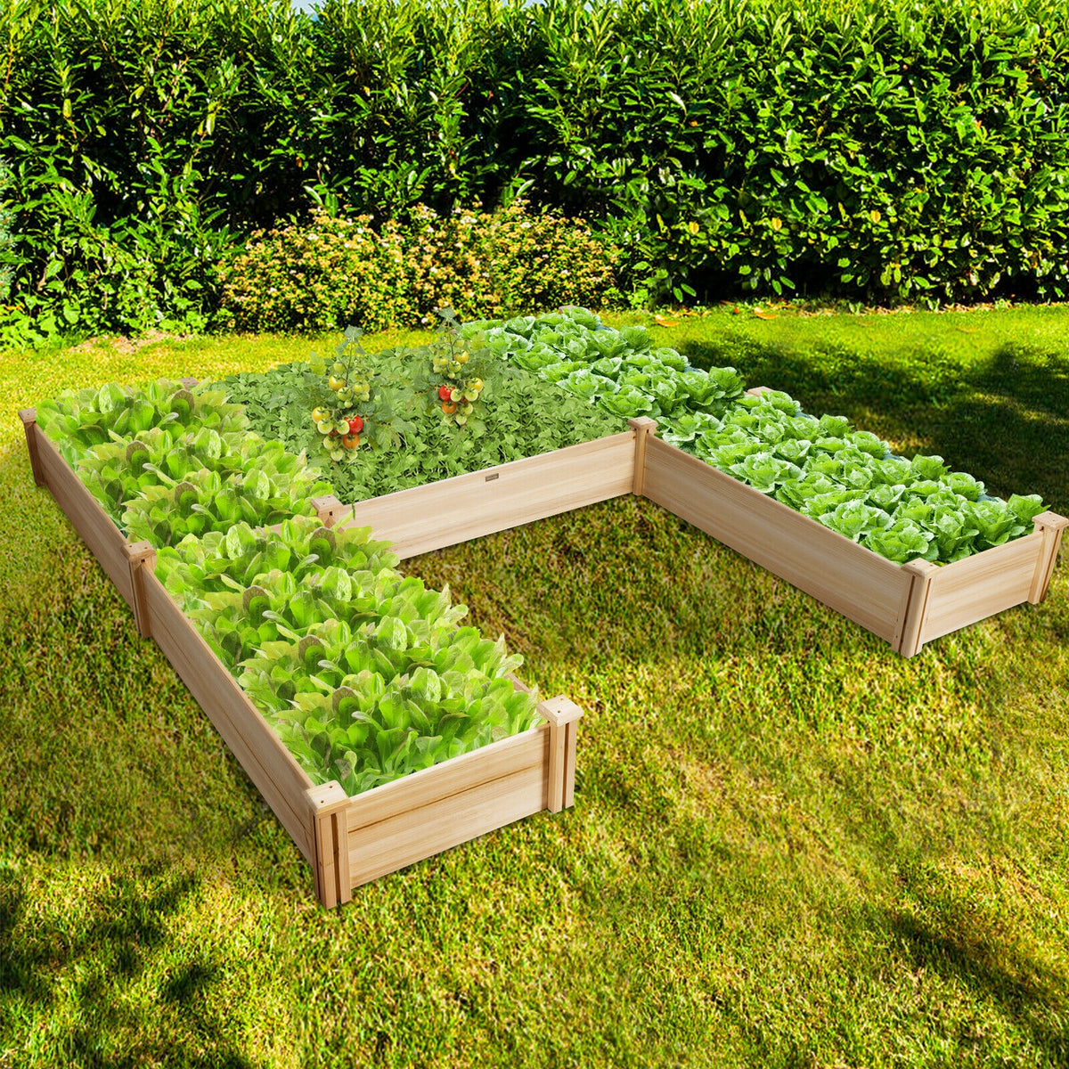 U-Shaped Wooden Raised Garden Bed - Orange