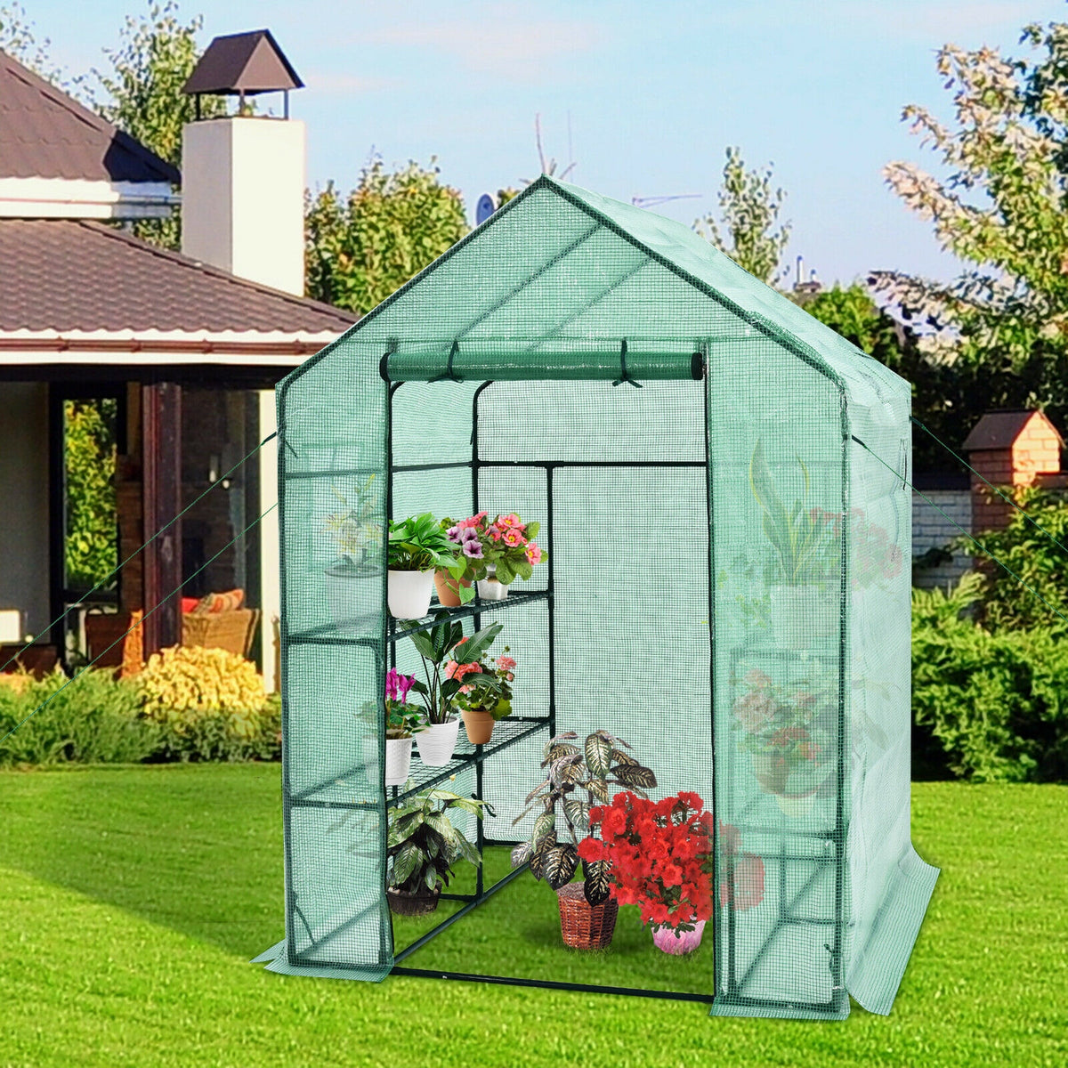 56 x 77 Inch Walk-in Greenhouse with Observation Windows