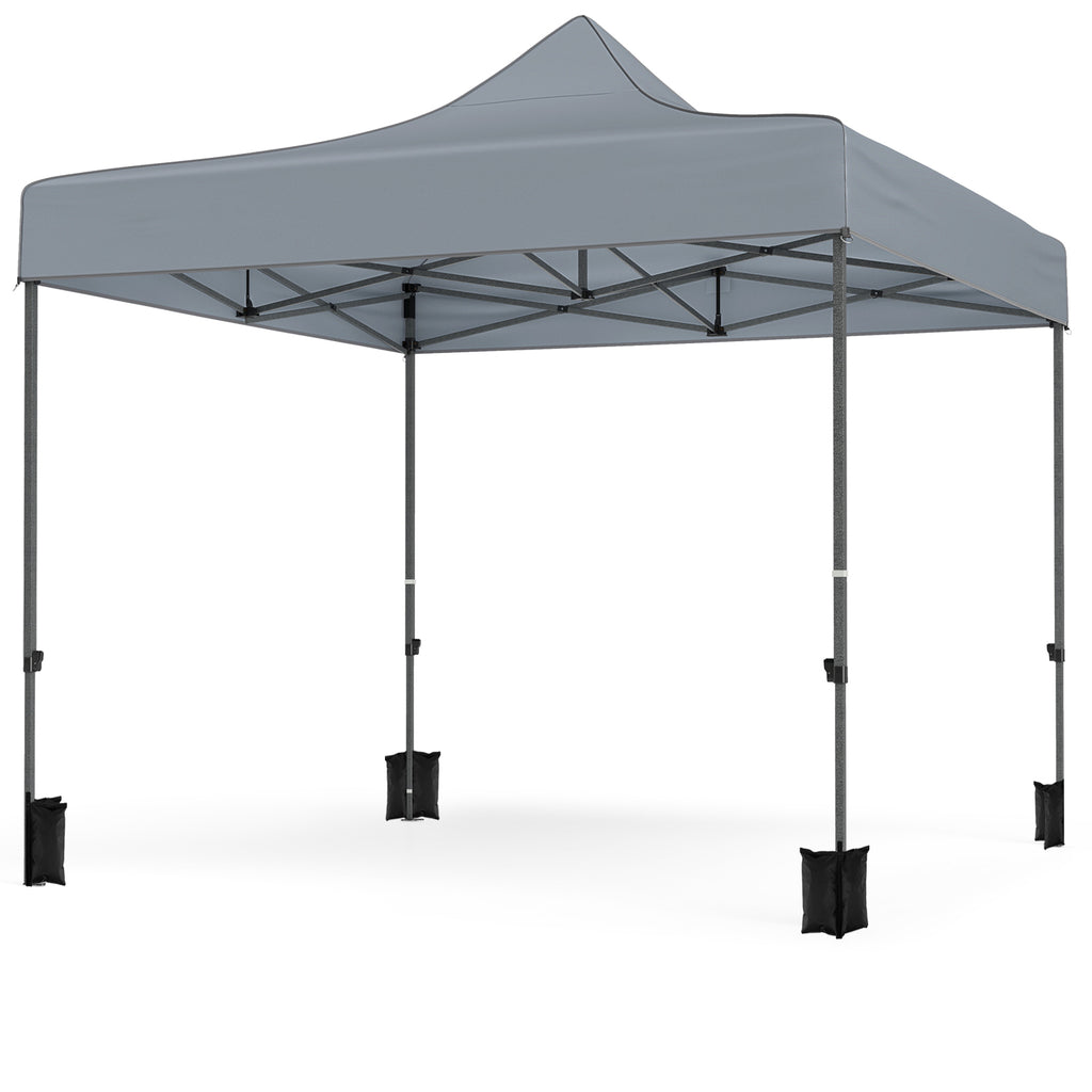 10 x 10 FT Pop-Up Canopy Tent with 4 Removable Sidewalls, Gray