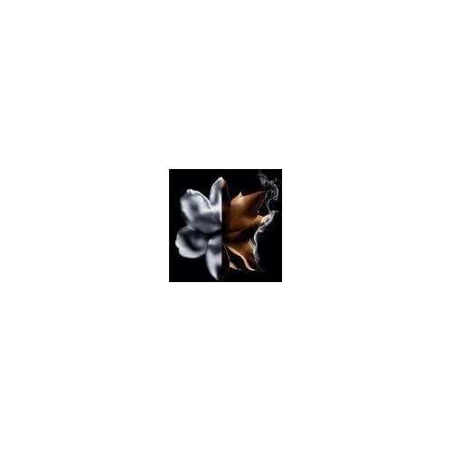 Givenchy L'Interdit Absolu Intense Eau de Parfum 1.1 fl oz