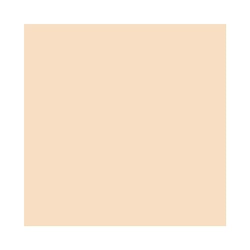 MAC Studio Fix Pro Set + Blur Weightless Loose Powder - Light (Light beige with neutral undertone) - 0.22 oz / 6.5 g