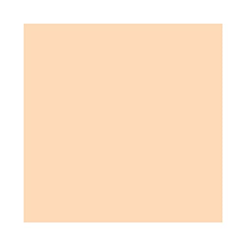 MAC Studio Finish Concealer SPF 35 NC10, 0.24 Ounces