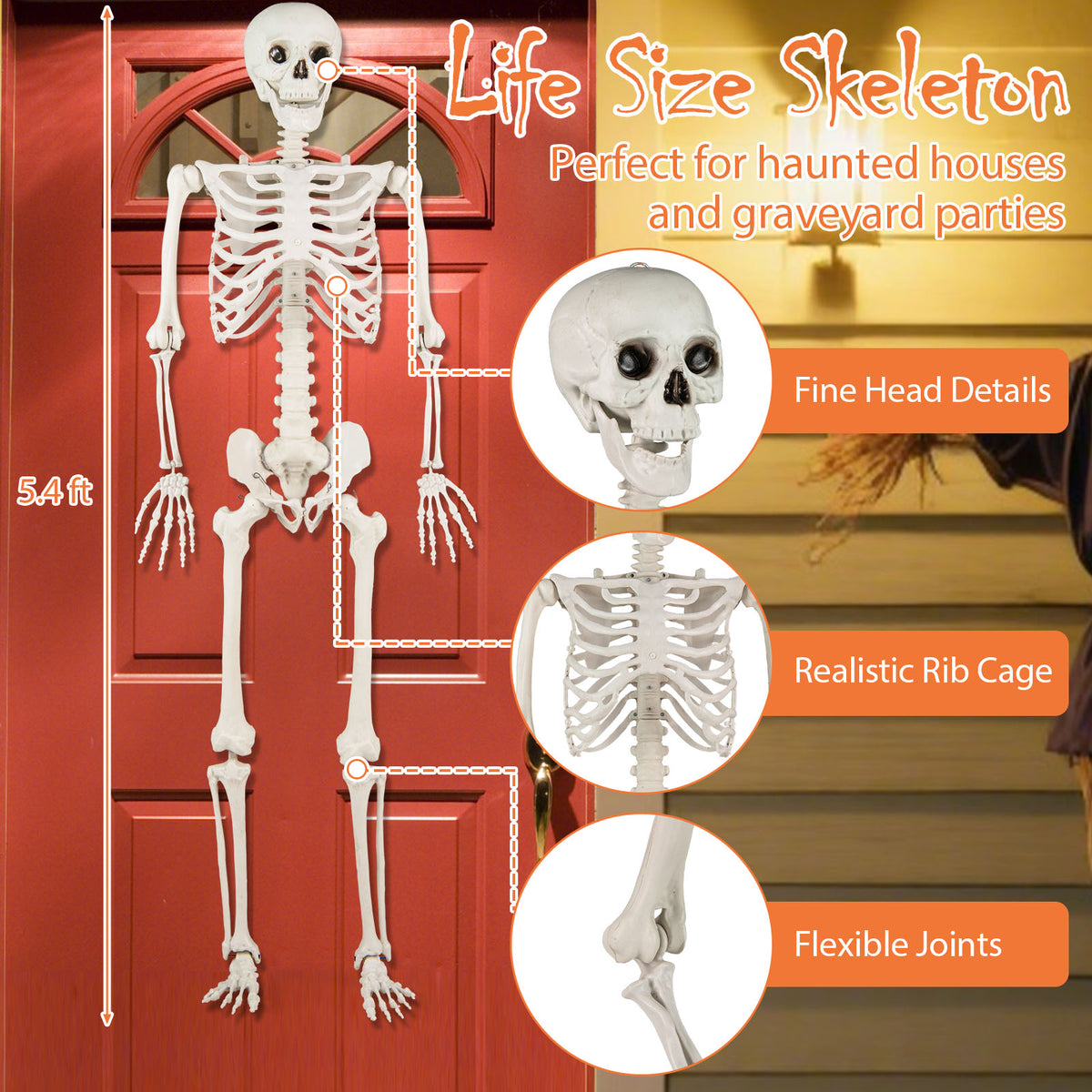 Life Size Halloween Skeleton Decoration 5.4 ft Outdoor & Indoor Prop