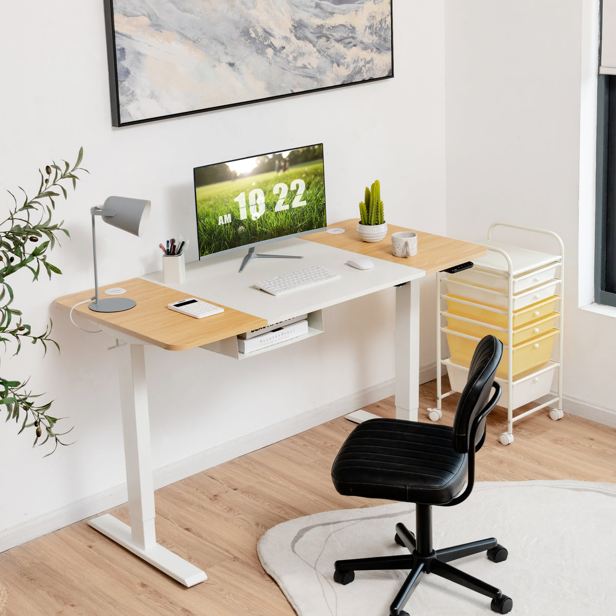 55 x 28 Inch Electric Standing Desk with USB Port