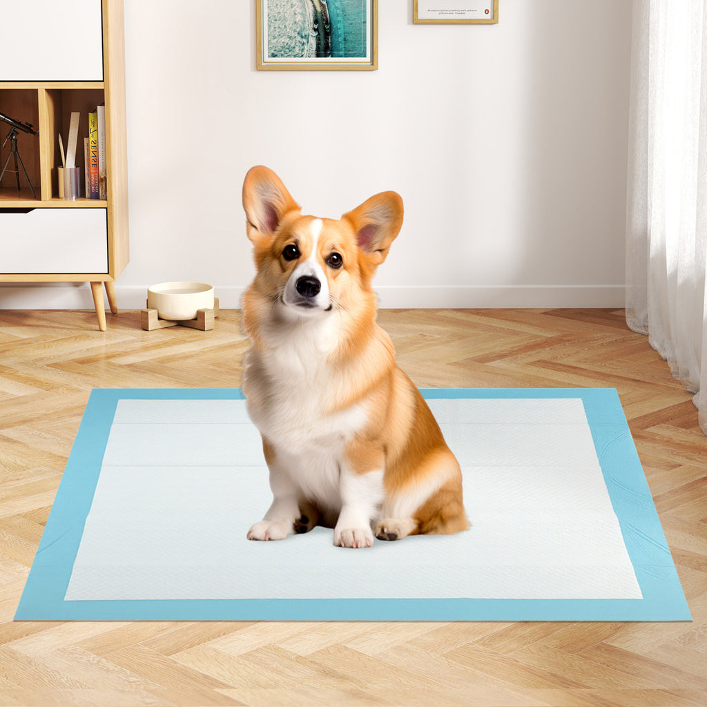 Pet Pee Pad Set - 150 Pieces, 24 x 36 Inch & 30 x 30 Inch, Leak-Proof Absorbent Training Pads with 5-Layer Design, Variations of THIS listing
