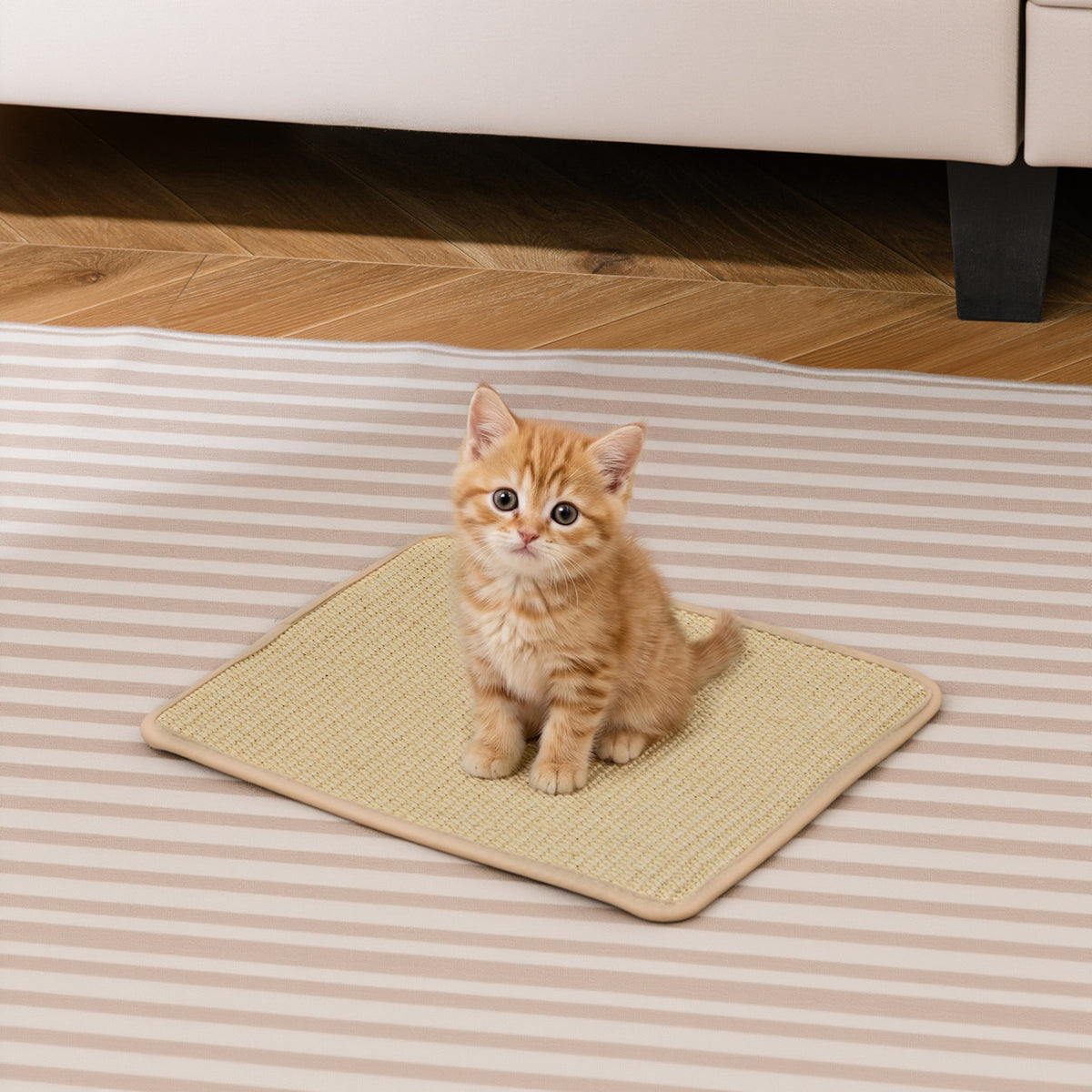6 Pieces Cat Scratcher Mat Set - 12 Inch Natural Sisal Claw Protectors, Non-Slip Wall & Floor Scratchers for Cats