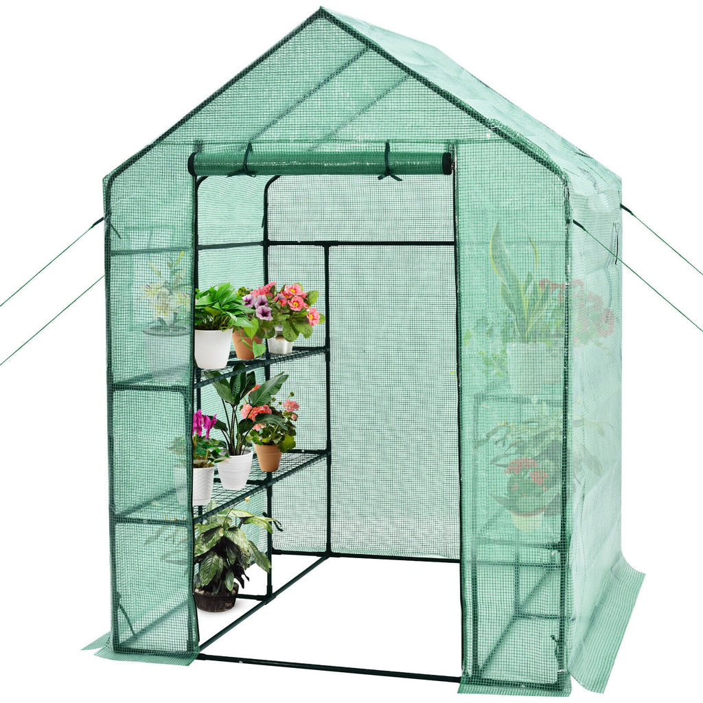 56 x 77 Inch Walk-in Greenhouse with Observation Windows