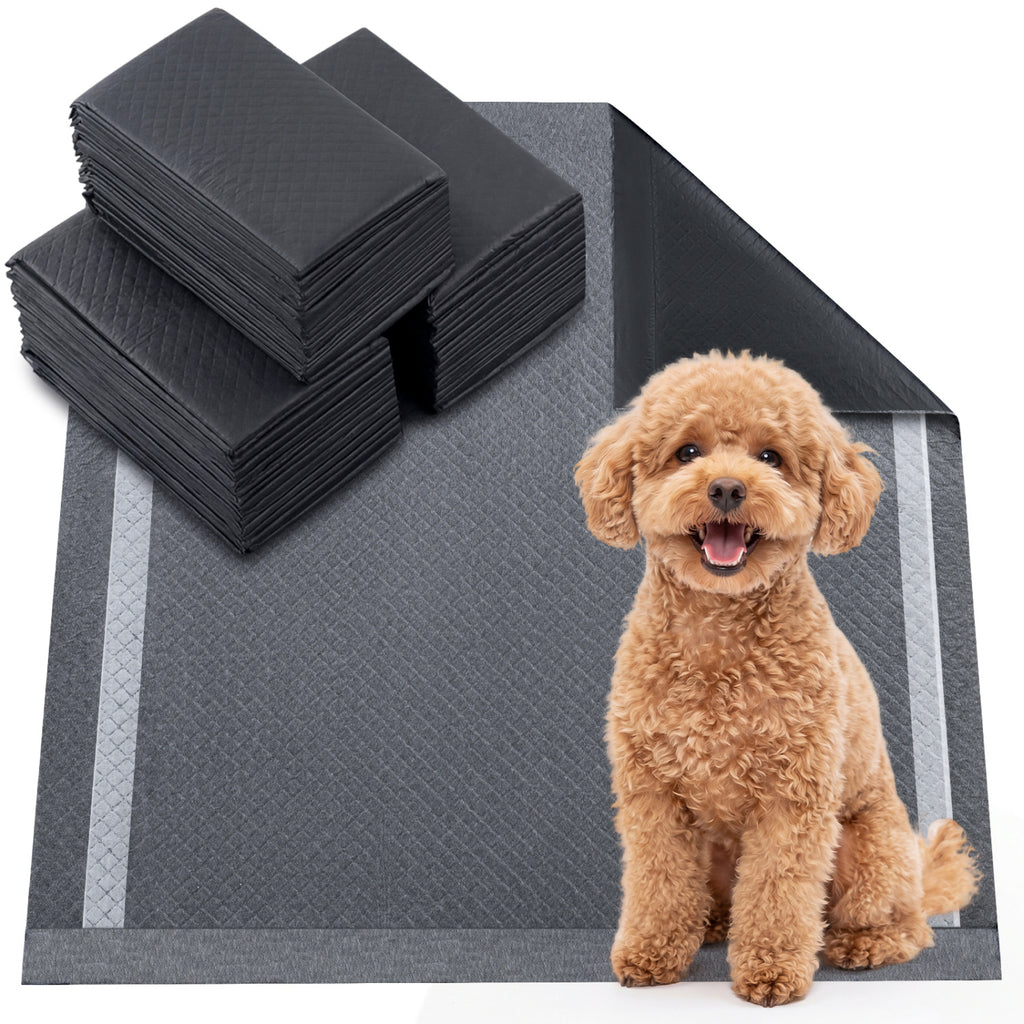 24x24 Charcoal Dog Pee Pads - 6-Layer Absorbent Leak-Proof Training Pads with Variation (150 Pieces)