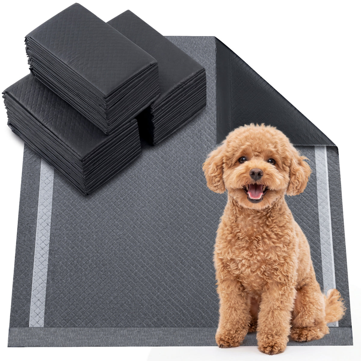 24x24 Charcoal Dog Pee Pads - 6-Layer Absorbent Leak-Proof Training Pads with Variation (150 Pieces)