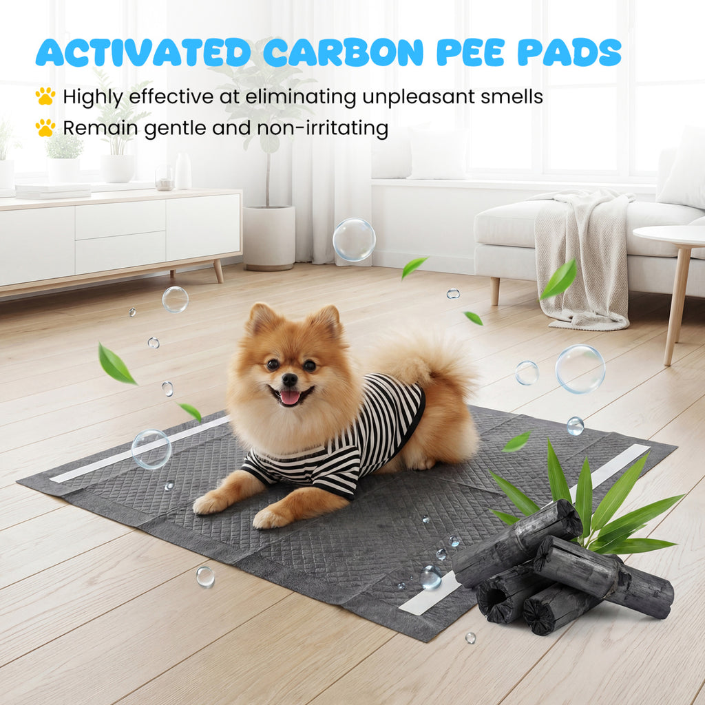 24x24 Charcoal Dog Pee Pads - 6-Layer Absorbent Leak-Proof Training Pads with Variation (150 Pieces)