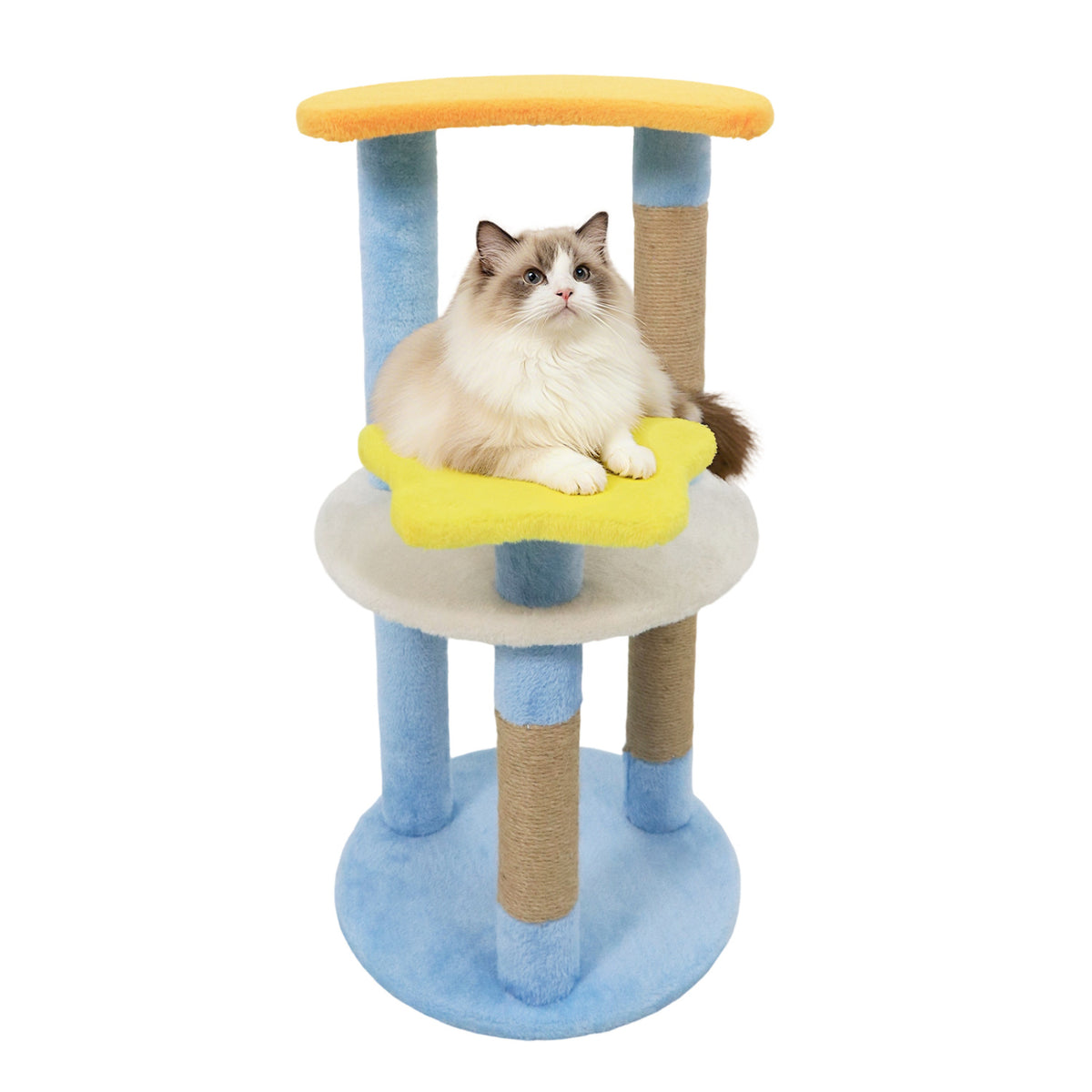 Blue 29-Inch Modern Cat Tree with Moon and Star-Shaped Platforms - Cute & Stable