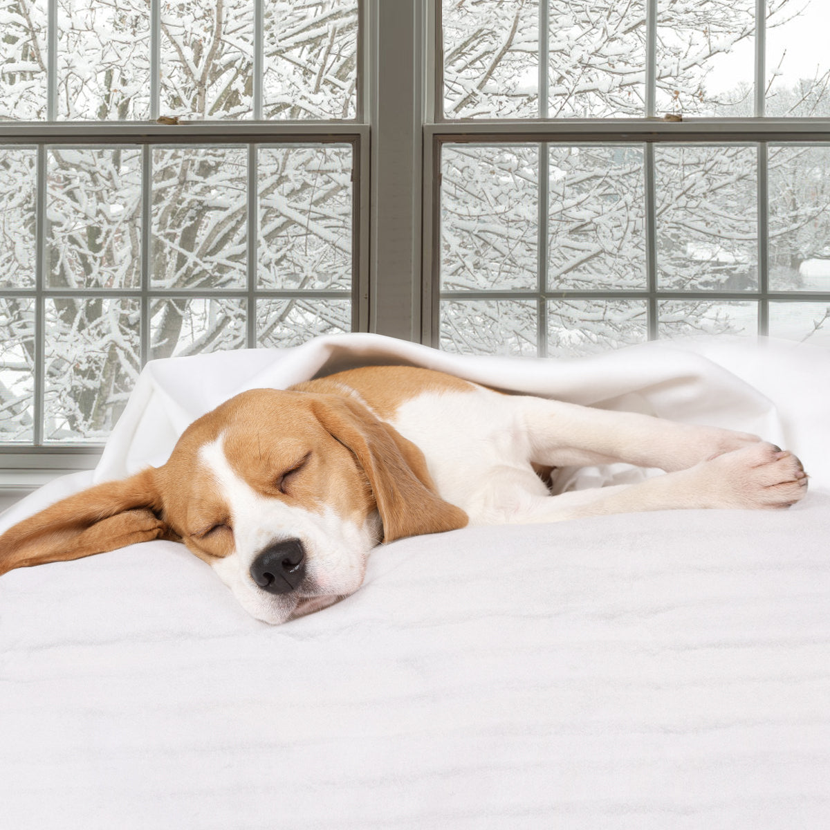 Massage Table Warmer with Auto-Off Protection