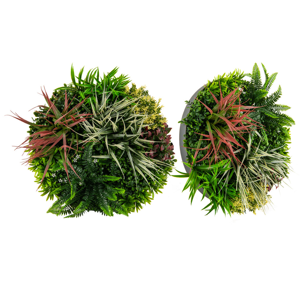 2 Pack Square Framed Artificial Foliage Wall Art - 9 Types of Imitation Plants