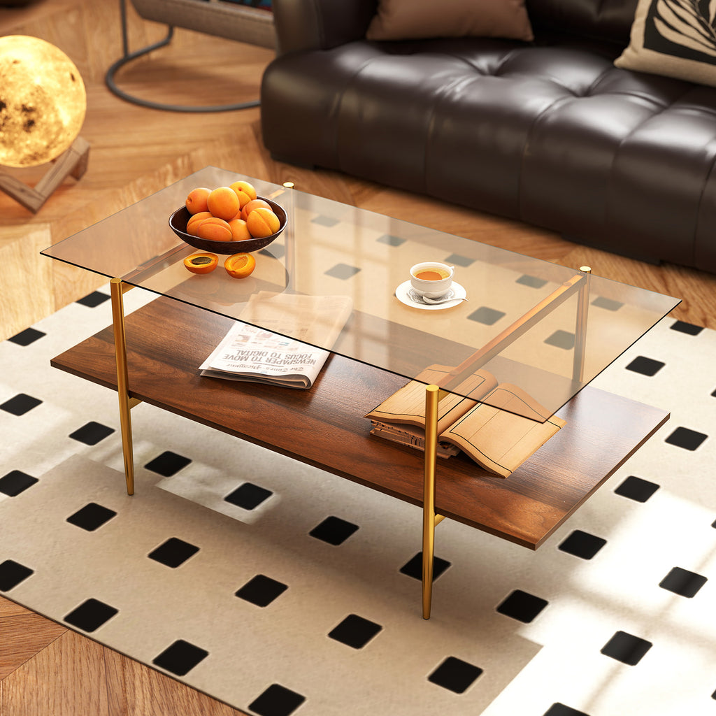 2-Tier Glass Coffee Table with Storage Shelf - Rectangle, Brown