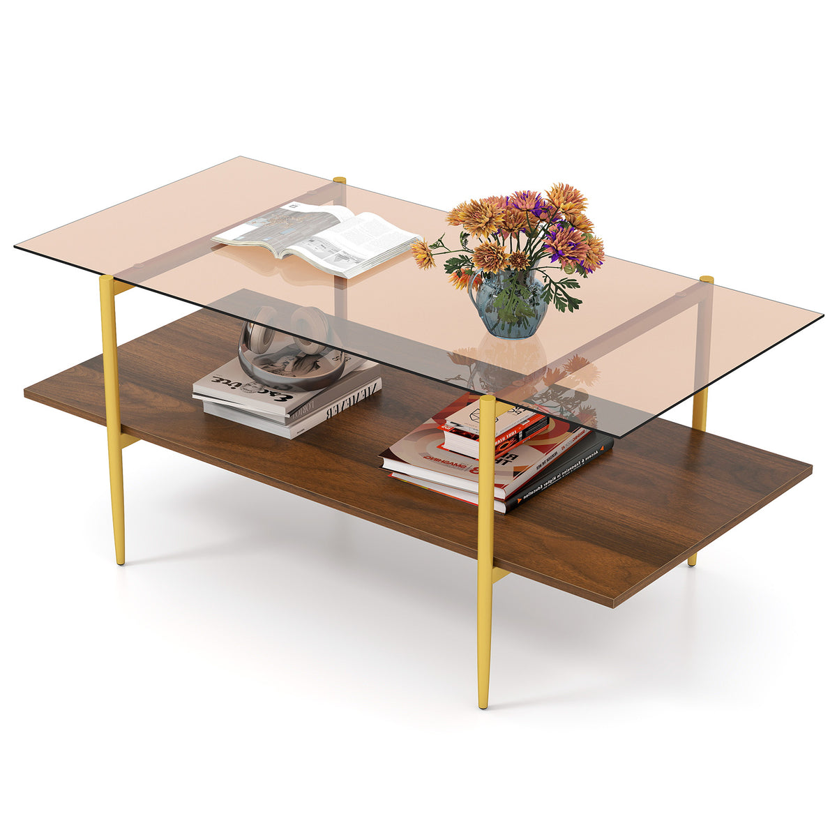 2-Tier Glass Coffee Table with Storage Shelf - Rectangle, Brown