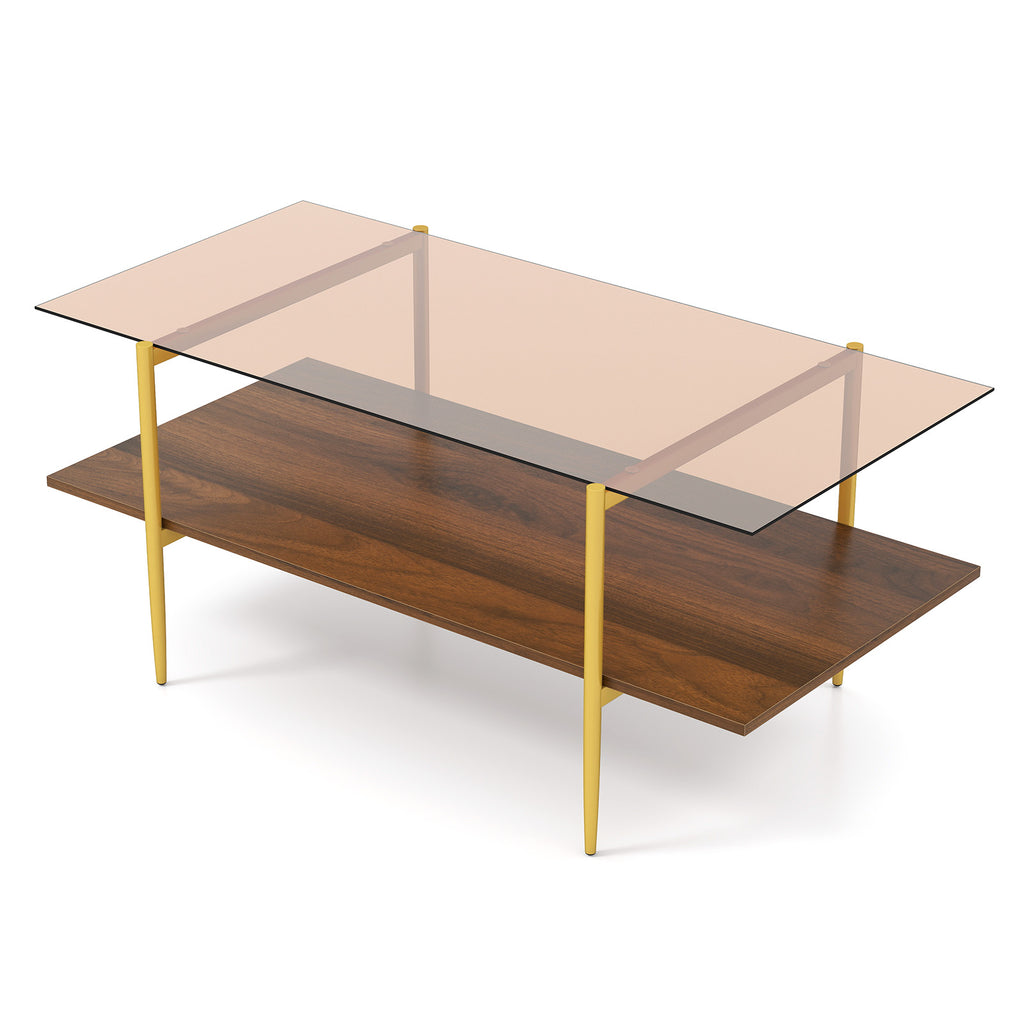 2-Tier Glass Coffee Table with Storage Shelf - Rectangle, Brown