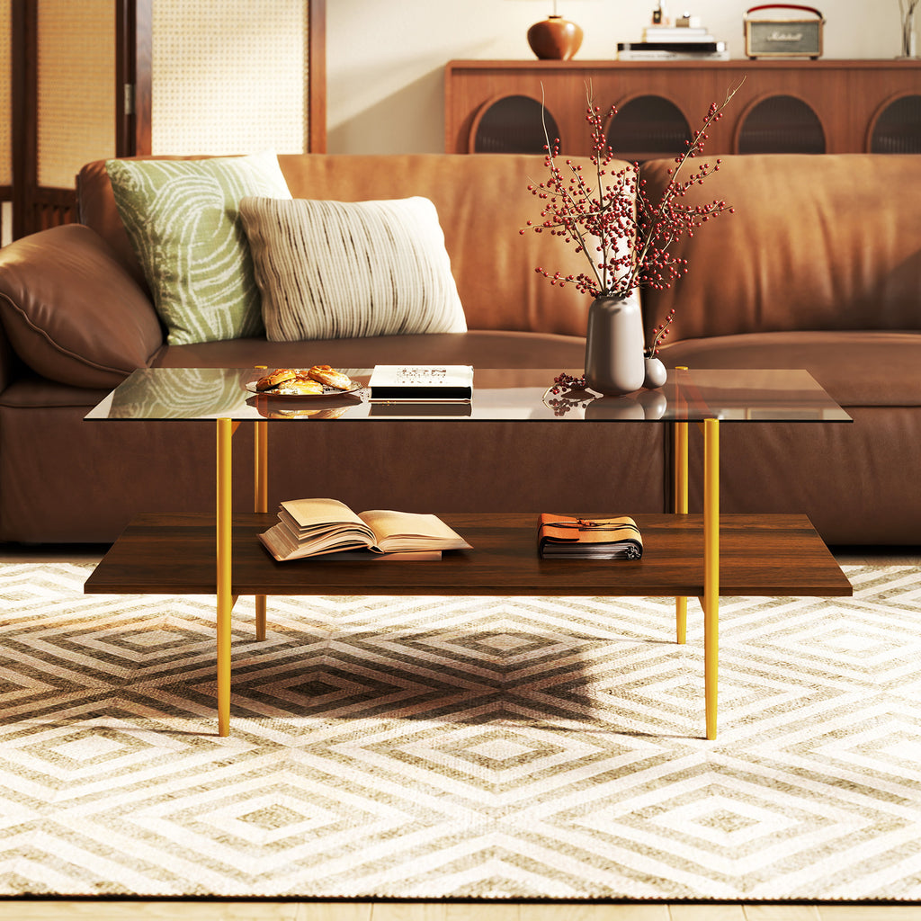 2-Tier Glass Coffee Table with Storage Shelf - Rectangle, Brown