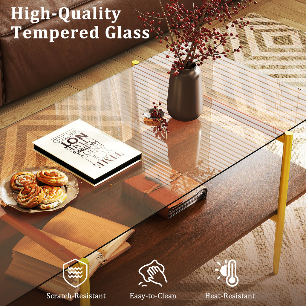 2-Tier Glass Coffee Table with Storage Shelf - Rectangle, Brown
