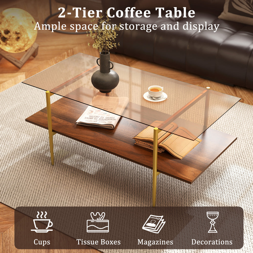 2-Tier Glass Coffee Table with Storage Shelf - Rectangle, Brown