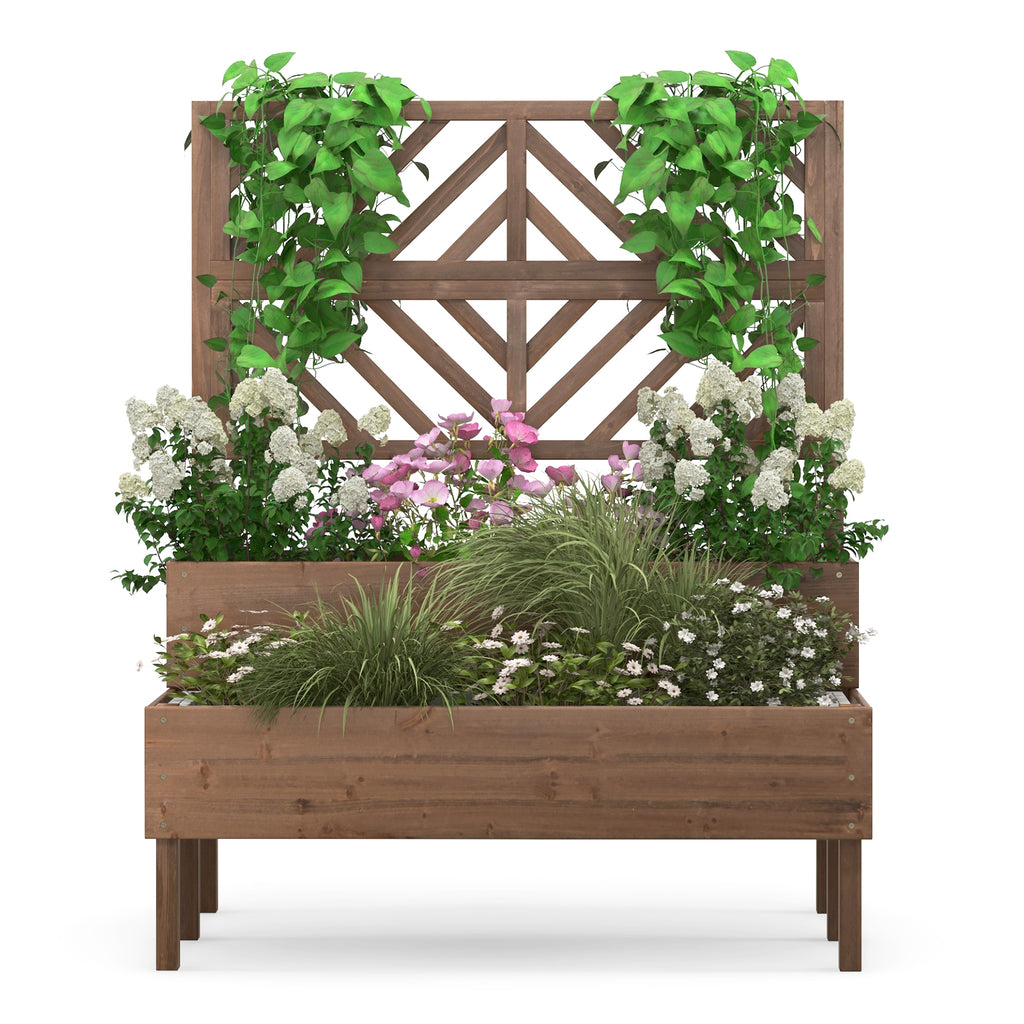 2-Tier Raised Garden Bed with Trellis - 43 x 24.5 x 53 inch, Brown