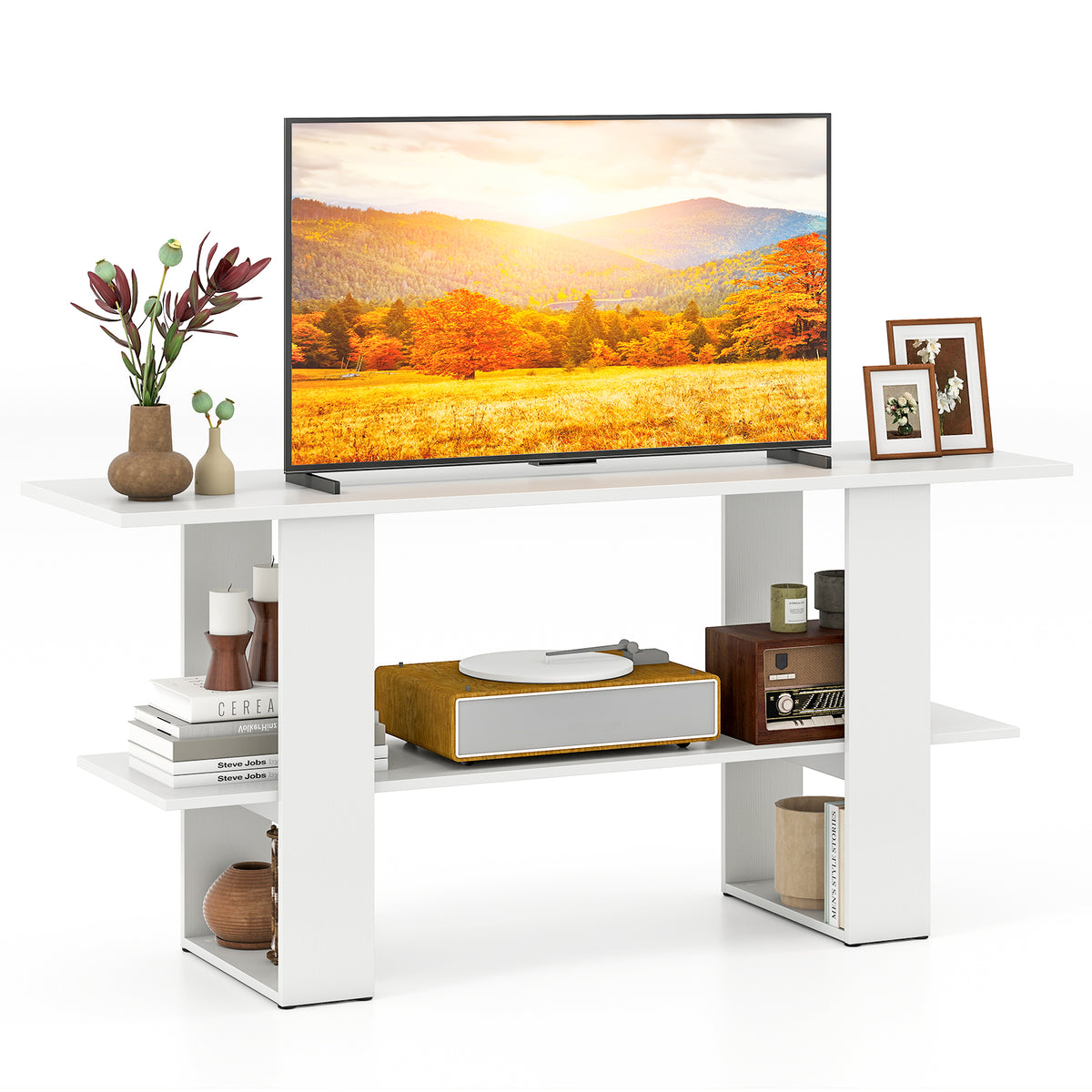 2-Tier TV Stand with Storage for TVs up to 55", White