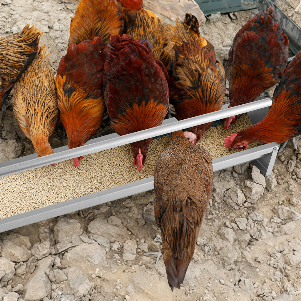 Metal Chicken Feeder Trough with Drainage Holes - Long Silver Trough with 2 Drain Holes