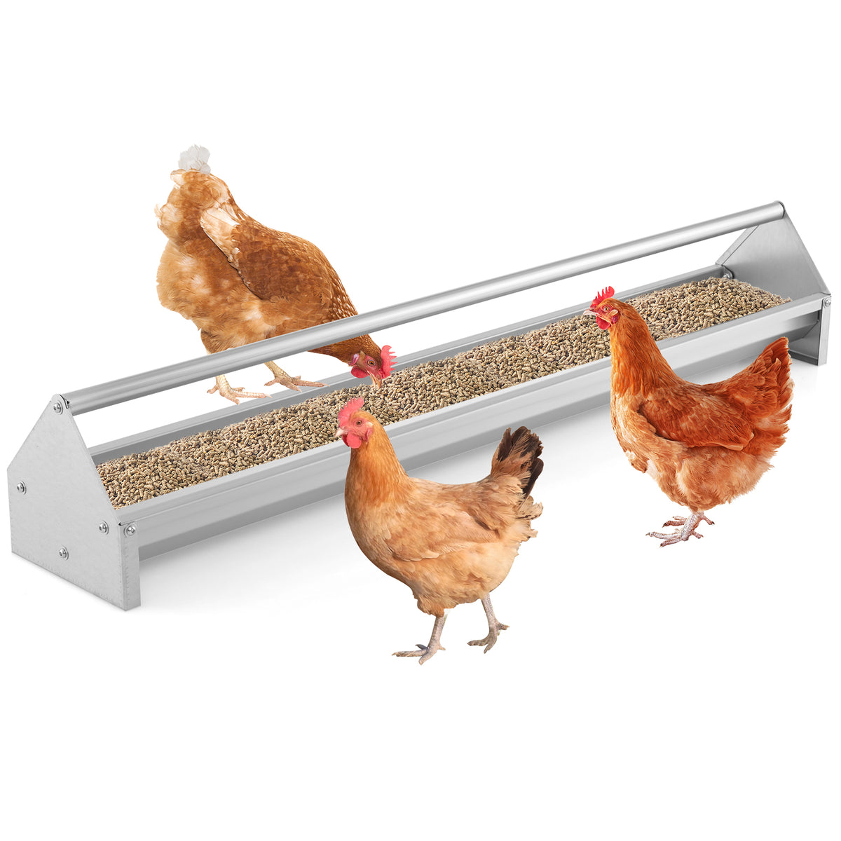 Metal Chicken Feeder Trough with Drainage Holes - Long Silver Trough with 2 Drain Holes