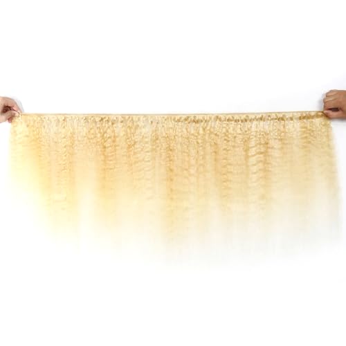 P27/613 Honey Blonde Bundles Yaki Straight Bundles Human Hair 12 14 16 Inch 3 Bundles Human Hair Unprocessed Brazilian Virgin Weave Hairs Highlight Blonde Extensions 50 Gram Per Bundle