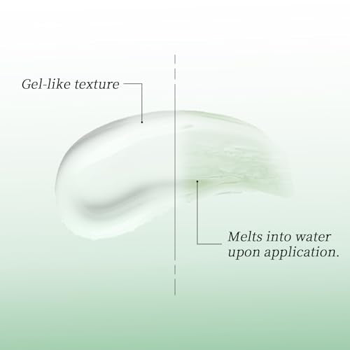 Dry Shampoo Second Generation Oil Control Volumizing Gel£¬ No Need To Wash. Plant Ingredients, 24-Hour Oil Control, Improves Itchy Scalp, 4d Hyaluronic£¨80ml, Cedar Scent£©