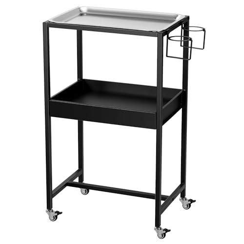 POARMEEY 2-Tier Tattoo Rolling Trolley Holder,Tray Cart on Wheels with Removable Stainless Steel Tray,Tool Storage Layer for Tattoo Salon Spa Clinics Office Home Use