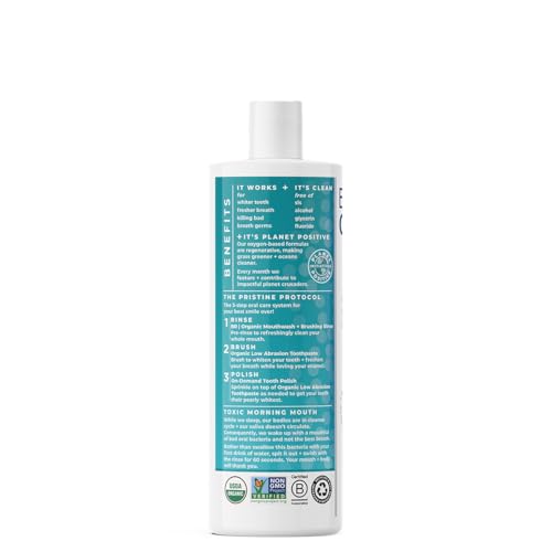 Essential Oxygen Certified BR Organic Brushing Rinse, All Natural Mouthwash for Whiter Teeth, Fresher Breath, and Happier Gums, Alcohol-Free Oral Care, Wintergreen, 16 Ounce