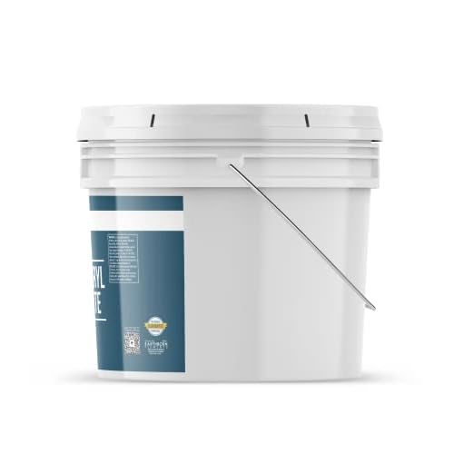 Earthborn Elements Sodium Lauryl Sulfoacetate (SLSA) (2 Gallon) Bath Bomb Additive, Gentle on Skin, Long-Lasting Foam & Bubbles