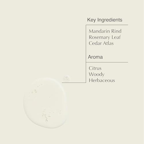 Aesop Resurrection Aromatique Hand Wash Refill | Gentle Cleanser with Orange, Rosemary and Lavender Oils | 500mL / 16.9 oz (Pack of 3)
