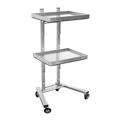 Generic Stainless Steel Salon Tray on Wheels for Tattoo Medical Dental,Rolling Tray Salon Trolley Beauty Hair Lash Cart Mayo Stand (Silver)