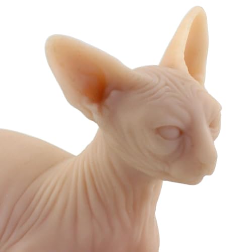 Silicone Cat Model Tattooable Sphynx Cat Model Life Sized Tattooing Fake Skin Body For Tattoo Practice and 3D Display Simulates Real Skin Premium Quality Realistic Silicone Model