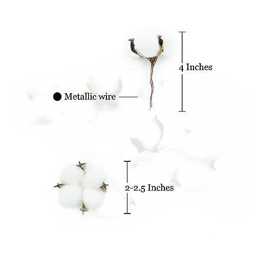25 Pcs White Cotton Bolls Balls Decor, Dried Cotton Balls for Wreath Decorative, Home, Wedding Decor Balls