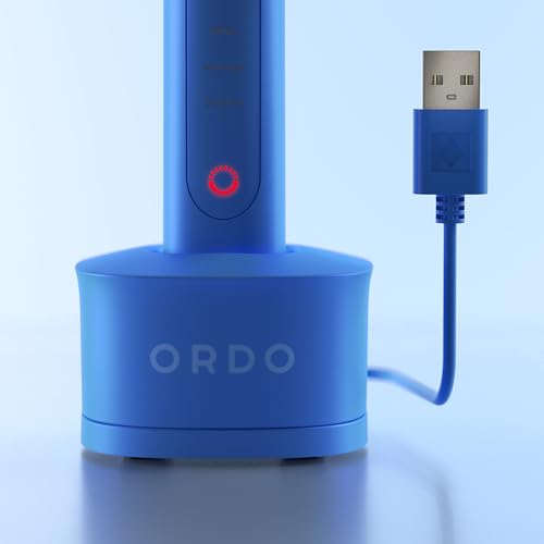 ORDO Sonic+ Electric Toothbrush with Case, Sonic Toothbrushes for Adults, Charging Travel Case, 4 Brushing Modes, Fast Rechargeable Battery, Silicone Polishing, USB Charger, Arctic Blue