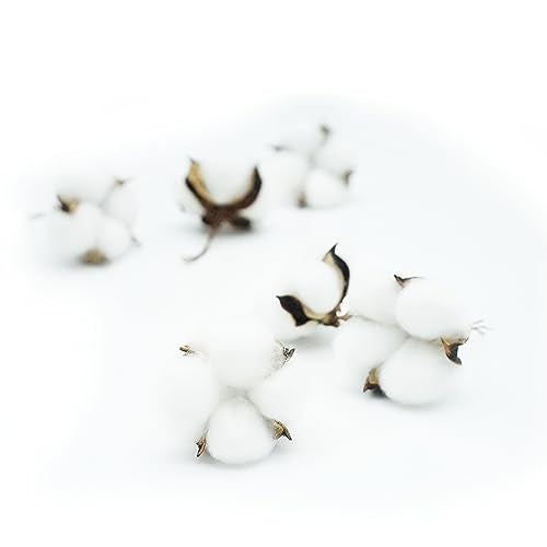 25 Pcs White Cotton Bolls Balls Decor, Dried Cotton Balls for Wreath Decorative, Home, Wedding Decor Balls