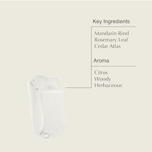 Aesop Resurrection Rinse-Free Hand Wash | Cleanse and Hydrate Without Water | Alcohol Based Formulation | 16.9 oz (Pack of 3)