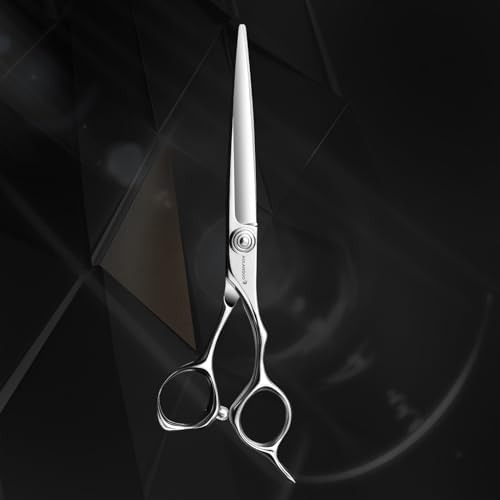 AOLANDUO Professional Hair Cutting Scissors - VG10 Steel, Razor Edge, Ergonomic, Barber Shears - 1 Count, 6.5 In