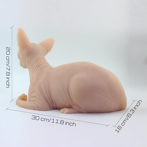 Silicone Cat Model Tattooable Sphynx Cat Model Life Sized Tattooing Fake Skin Body For Tattoo Practice and 3D Display Simulates Real Skin Premium Quality Realistic Silicone Model