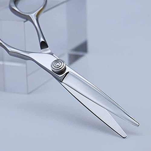 AOLANDUO Professional Shears for Hair Cutting, VG10 Steel Scissors to Cut Hair Professional, Precision Barber & Hair Stylist Shears, Ergonomic, 1 Count, 5.5 Inch
