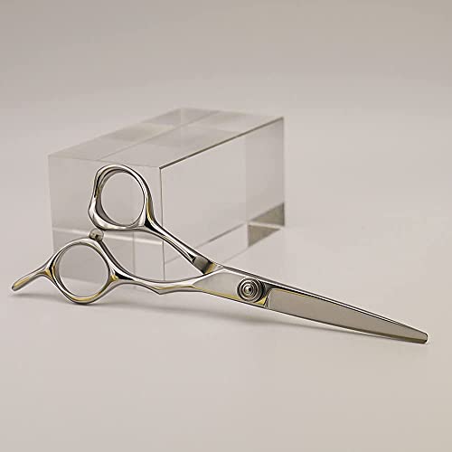 AOLANDUO Professional Shears for Hair Cutting, VG10 Steel Scissors to Cut Hair Professional, Precision Barber & Hair Stylist Shears, Ergonomic, 1 Count, 5.5 Inch