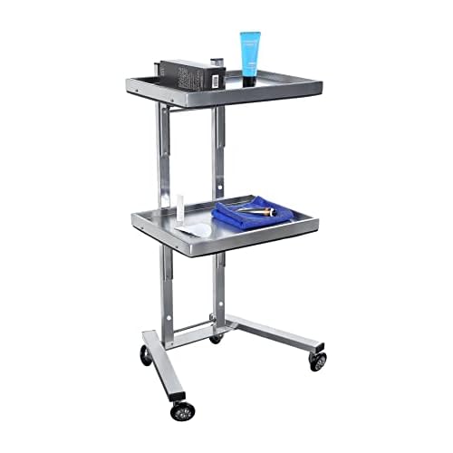 Generic Stainless Steel Salon Tray on Wheels for Tattoo Medical Dental,Rolling Tray Salon Trolley Beauty Hair Lash Cart Mayo Stand (Silver)