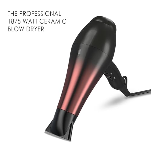 1875W Professional Hair Dryer, Salon Lightweight Ionic Blow Dryer, 2 Speed and 3 Heat Settings, Powerful Ceramic Fast Dryer with Diffuser, Concentrator and Comb (Black)