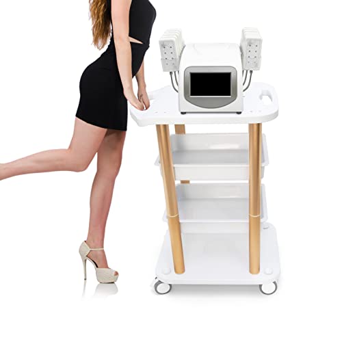 Beauty Salon Trolley Spa Styling Pedestal Rolling Cart Two Shelf ABS Aluminum Elitzia ETTROLLEY5 (Gold cart)