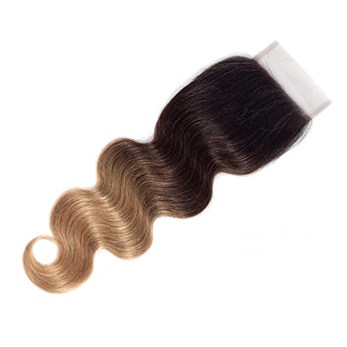 Shining Girl 12A Ombre Body Wave Bundles With Closure Brazilian Virgin Remy 100% Human Hair Ombre 3 Tone T1B/4/27 Color Human Hair Extensions 3 Bundles with 4x4 Lace Closure (18 20 22+16, 1B#/4#/27#)