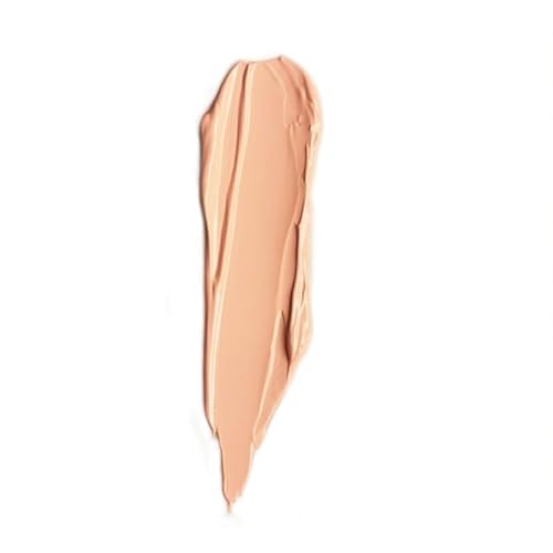 P.Louise EYESHADOW BASE SHADE RUMOUR 02, 0.504 Fl Oz (Pack of 1)