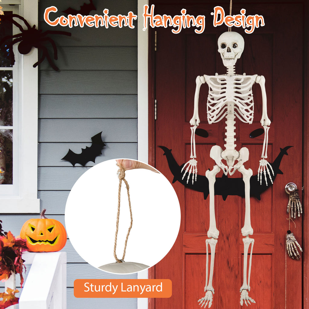 Life Size Halloween Skeleton Decoration 5.4 ft Outdoor & Indoor Prop